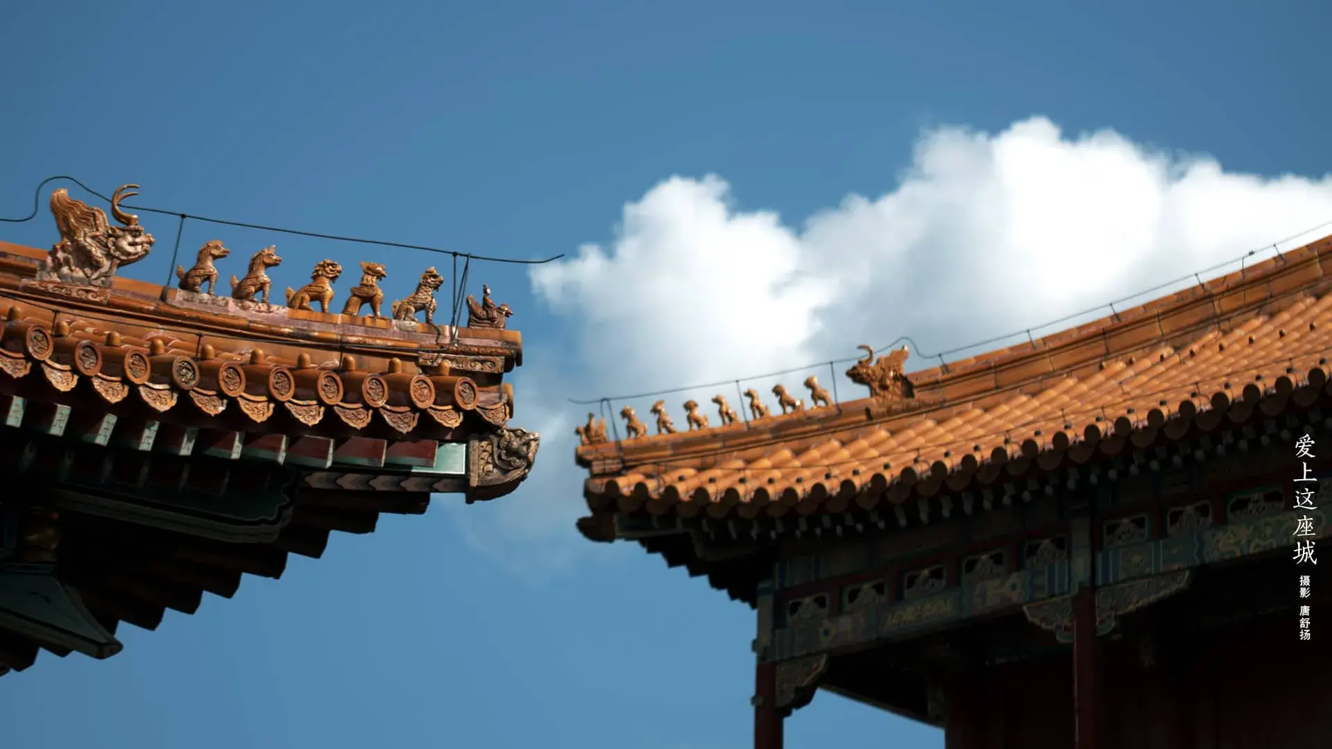 故宫的天空