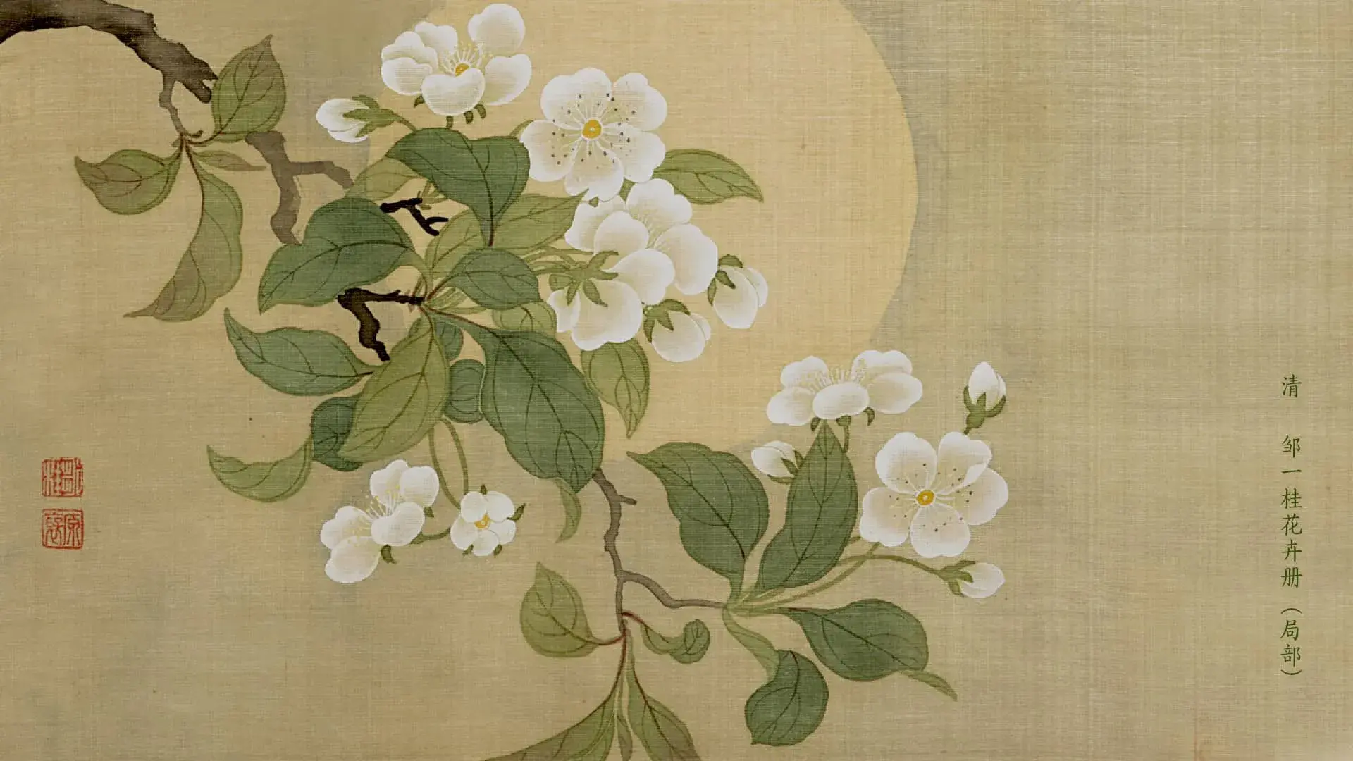 清 邹一桂花卉册（局部）