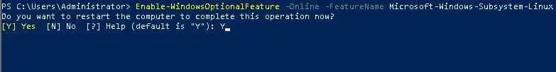 在Windows LTSC 10、Server 2019运行Linux的方法