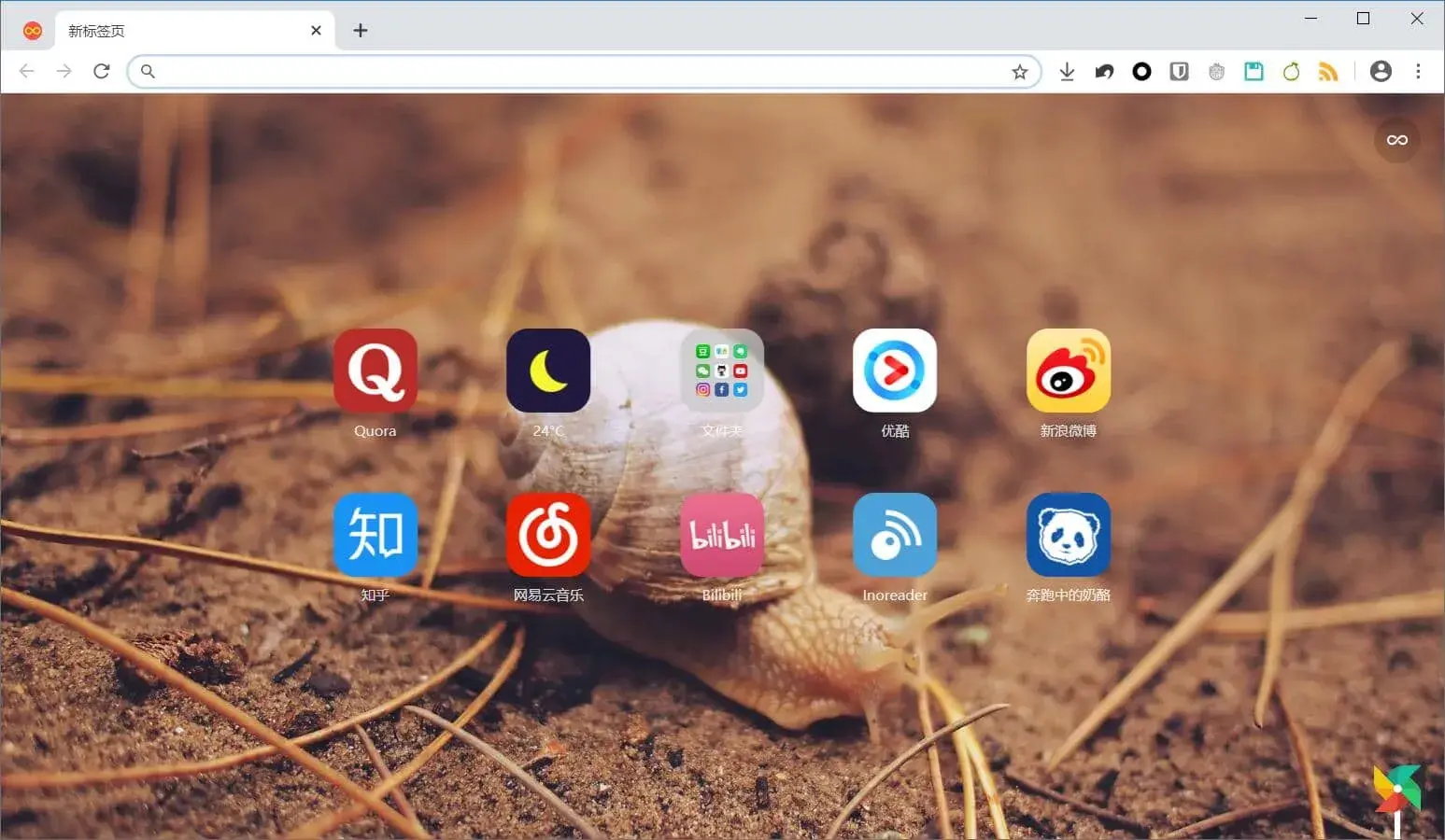 RunningCheese Chrome浏览器（2020-05-21 83.0 稳定版）