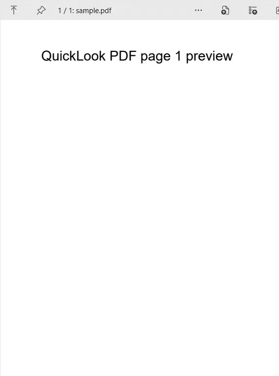 PDF 首页预览（1 / 1）