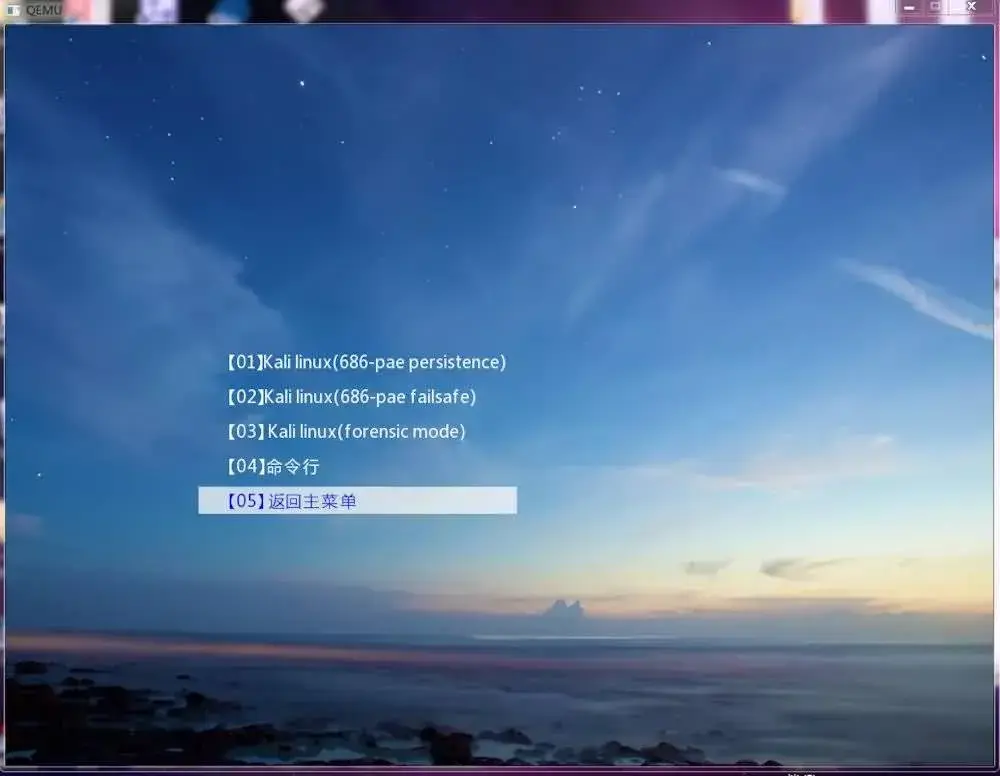 U盘的进阶用法----打造U盘启动盘+USB KALI Linux+普通U盘。