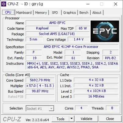 AMD EPYC 4124P的CPU-Z跑分